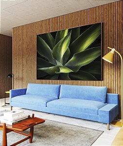 Quadro Horizontal Planta Agave-Dragão Folhas Verdes Natureza Canvas Moldura