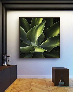 Quadro Quadrado Planta Agave-Dragão Folhas Verdes Natureza Canvas Moldura