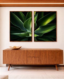 Duo de Quadros Planta Agave-Dragão Folhas Verdes Natureza Canvas Moldura