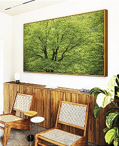 Quadro Horizontal Árvores Folhagem Verde Vibrante Natureza Canvas Moldura