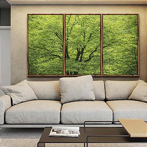 Trio de Quadros Árvores Folhagem Verde Vibrante Natureza Canvas Moldura