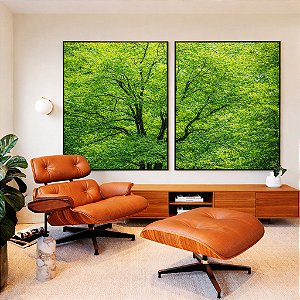 Duo de Quadros Árvores Folhagem Verde Vibrante Natureza Canvas Moldura