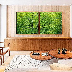 Duo de Quadros Quadrados Árvores Folhagem Verde Vibrante Natureza Canvas Moldura
