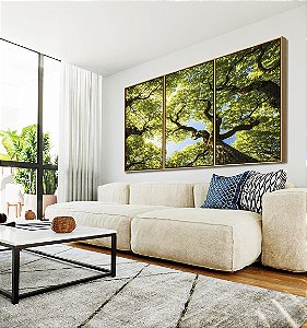 Trio de Quadros Céu Azul Árvores Verde Intenso Natureza Canvas Moldura