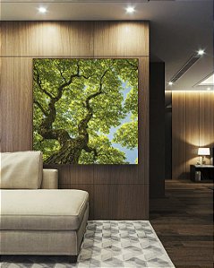 Quadro Quadrado Árvores Folhas Verdes Céu Azul Limpo Natureza Canvas Moldura