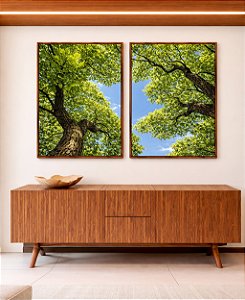 Duo de Quadros Árvores Folhagem Verde Céu Limpo Natureza Canvas Moldura