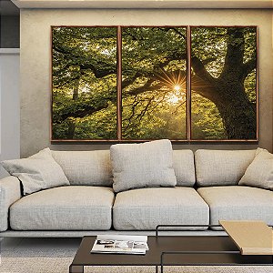 Trio de Quadros Árvore Luzes do Sol Floresta Paisagem Canvas Moldura