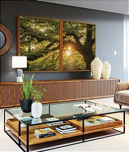 Duo de Quadros Árvore Luzes do Sol Floresta Paisagem Canvas Moldura