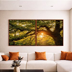 Duo de Quadros Quadrados Árvore Luzes do Sol Floresta Paisagem Canvas Moldura