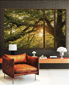 Trio de Quadros Estilizados Árvore Luzes do Sol Floresta Paisagem Canvas Moldura