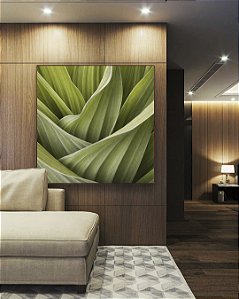 Quadro Quadrado Planta Folhagem Verde Natureza Paisagem Canvas Moldura