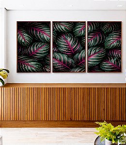 Trio de Quadros Folhas Plantas Verde Magenta Tropical Natureza Canvas Moldura