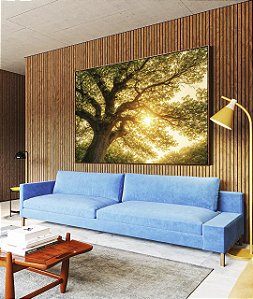 Quadro Horizontal Árvore Céu Luzes Douradas Sol Natureza Canvas Moldura