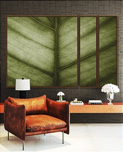 Trio de Quadros Estilizados Folha Verde Textura Beleza Natural Folhagem Canvas Moldura