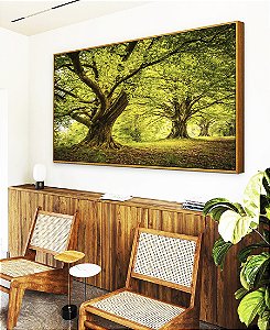 Quadro Horizontal Árvores Em Floresta Natureza Folhas Claridade Natureza Canvas Moldura