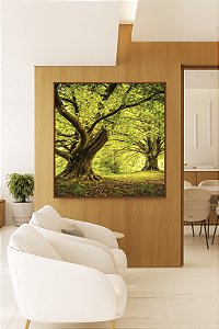 Quadro Quadrado Árvores Em Floresta Natureza Folhas Claridade Natureza Canvas Moldura