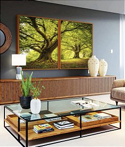Duo de Quadros Árvores Em Floresta Natureza Folhas Claridade Natureza Canvas Moldura