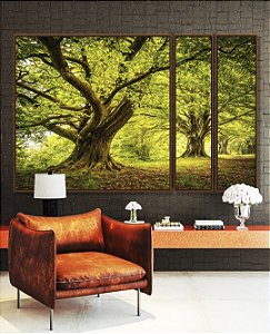 Trio de Quadros Estilizados Árvores Em Floresta Folhas Claridade Natureza Canvas Moldura
