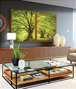 Duo de Quadros Árvores Campo Floresta Natureza Iluminada Canvas Moldura