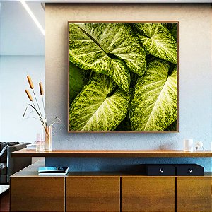 Quadro Quadrado Planta Folha Verde Claro Vivo Natureza Canvas Moldura