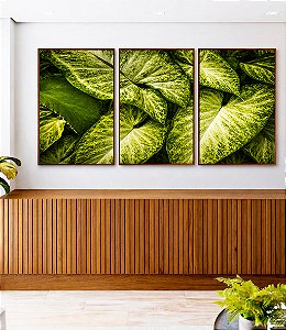 Trio de Quadros Planta Folha Verde Claro Vivo Natureza Canvas Moldura