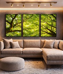 Trio de Quadros Paisagem Céu Árvores Folhas Galhos Equilibrados Natureza Canvas Moldura