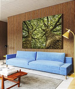 Quadro Horizontal Árvores Paisagem Folhas Troncos Galhos Natureza Canvas Moldura