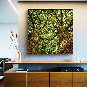 Quadro Quadrado Árvores Folhas Troncos Galhos Paisagem Natureza Canvas Moldura