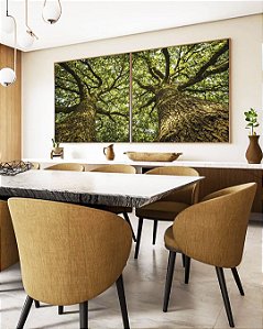 Duo de Quadros Quadrados Árvores Folhas Troncos Galhos Paisagem Natureza Canvas Moldura
