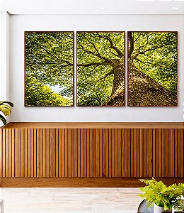 Trio de Quadros Árvore Galhos Folhas Verdes Vibrantes Céu Paisagem Natureza Canvas Moldura