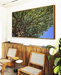 Quadro Horizontal Copa de Arvore Folhas Verdes Céu Azul Natureza Canvas Moldura
