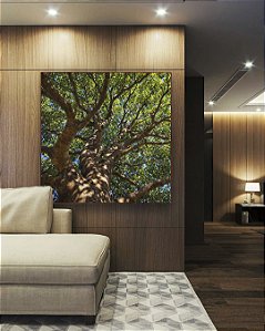 Quadro Quadrado Copa de Arvore Folhas Verdes Céu Azul Natureza Canvas Moldura