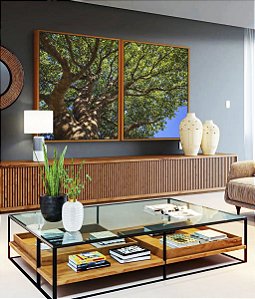 Duo de Quadros Copa de Arvore Folhas Verdes Céu Azul Natureza Canvas Moldura