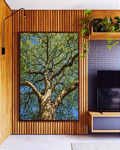 Quadro Vertical Árvore Frondosa Folhas Verdes Contra Céu Azul Canvas Moldura