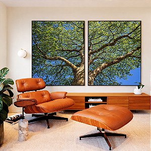 Duo de Quadros Árvore Frondosa Folhas Verdes Contra Céu Azul Canvas Moldura