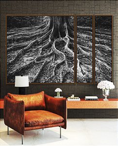 Trio de Quadros Estilizados Raízes de Árvore Preto e Branco Natureza Canvas Moldura