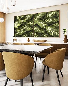 Duo de Quadros Quadrados Planta Comigo-Ninguém-Pode Folhagem Natureza Paisagem Canvas Moldura