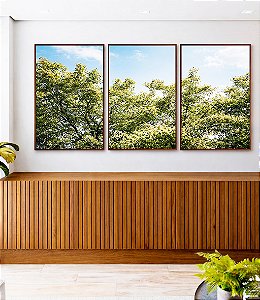Trio de Quadros Árvores Folhagem Verde Céu Claro Nuvens Natureza Paisagem Canvas Moldura