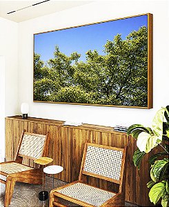 Quadro Horizontal Árvores Folhagem Verde Céu Claro Limpo Natureza Paisagem Canvas Moldura