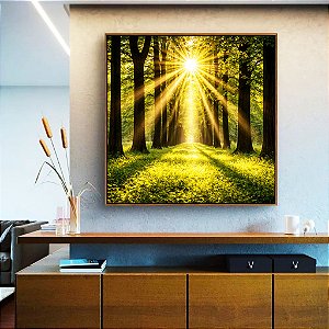 Quadro Quadrado Caminho Entre Árvores Luzes do Sol Natureza Paisagem Canvas Moldura