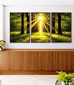 Trio de Quadros Caminho Entre Árvores Luzes do Sol Natureza Paisagem Canvas Moldura