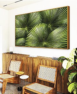 Quadro Horizontal Planta Palmeira-Leque Verde Folhagem Natureza Canvas Moldura