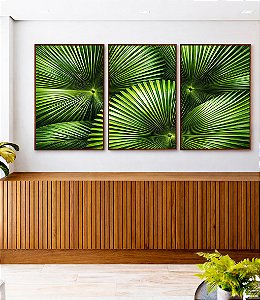 Trio de Quadros Planta Palmeira-Leque Verde Folhagem Natureza Canvas Moldura