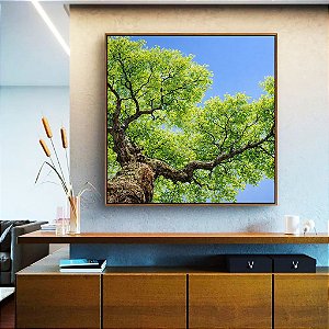 Quadro Quadrado Céu Azul Vivo Copa de Árvore Folhas Verdes Paisagem Natureza Canvas Moldura