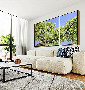 Trio de Quadros Céu Azul Vivo Copa de Árvore Folhas Verdes Paisagem Natureza Canvas Moldura