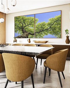 Duo de Quadros Quadrados Céu Azul Vivo Copa de Árvore Folhas Verdes Paisagem Canvas Moldura