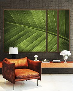 Trio de Quadros Estilizados Folha Verde Intenso Textura Natureza Paisagem Canvas Moldura