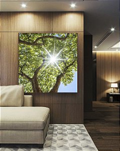 Quadro Quadrado Natureza Folhas Verdes Árvore Céu Azul Sol Canvas Moldura