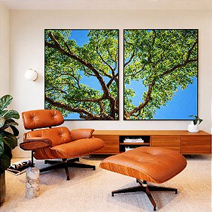 Duo de Quadros Copa de Árvore Folhas Verdes Céu Azul Vivo Natureza Canvas Moldura