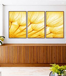 Trio de Quadros Dente de Leão Planta Flor Reflexos do Sol Natureza Paisagem Canvas Moldura